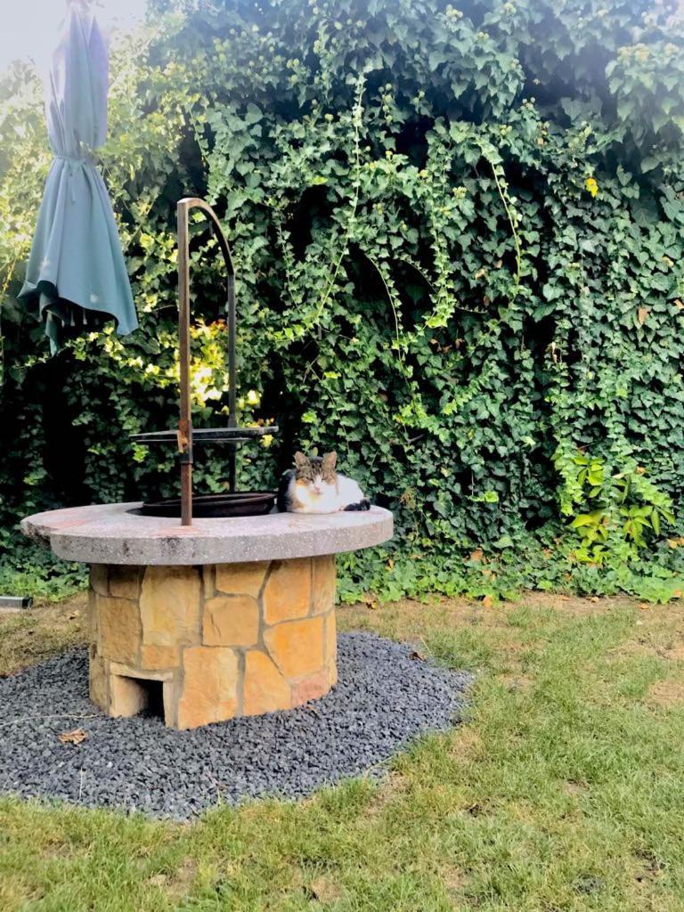 Aranylo Apartmanhaz Hajdúszoboszló Exterior foto
